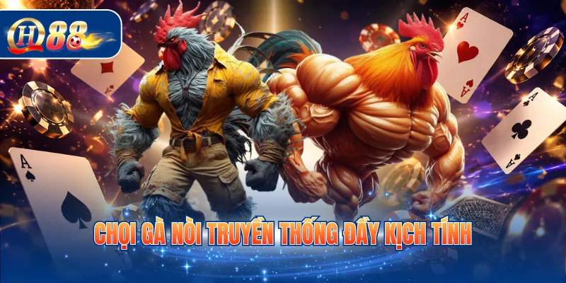 Chọi gà nòi truyền thống đầy kịch tính