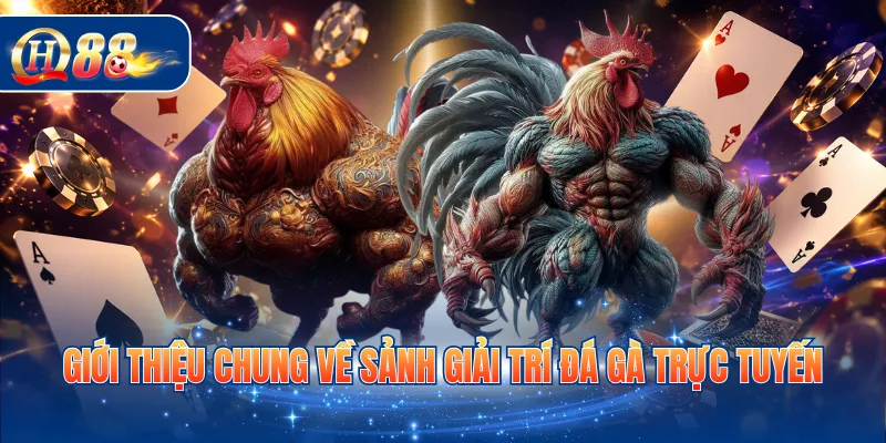Giới thiệu chung về sảnh giải trí đá gà trực tuyến