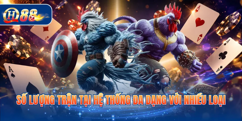 Số lượng trận tại hệ thống đa dạng với nhiều loại